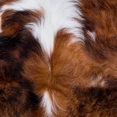 Cowhide Rug AUG26-090 (200cm x 180cm)