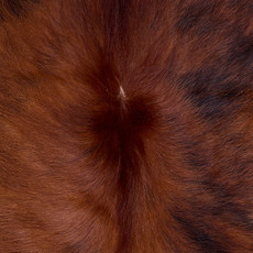 Cowhide Rug AUG26-093 (180cm x 180cm)
