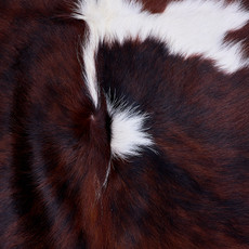 Cowhide Rug AUG26-099 (210cm x 190cm)