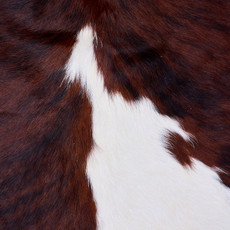 Cowhide Rug AUG26-099 (210cm x 190cm)