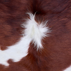 Cowhide Rug AUG26-101 (180cm x 170cm)