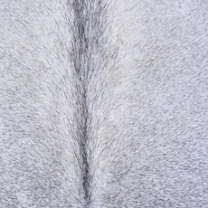 Cowhide Rug AUG26-102 (190cm x 190cm)