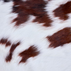 Cowhide Rug AUG26-103 (180cm x 170cm)