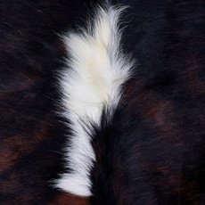 Cowhide Rug AUG26-105 (220cm x 190cm)