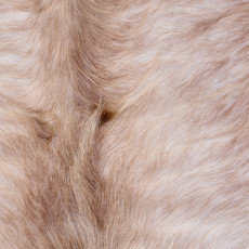 Cowhide Rug AUG26-110 (220cm x 200cm)