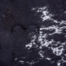 Cowhide Rug AUG26-111 (200cm x 190cm)
