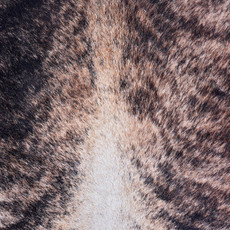 Cowhide Rug AUG26-112 (250cm x 220cm)