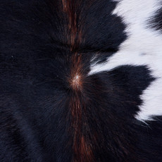 Cowhide Rug AUG26-116 (210cm x 200cm)