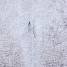 Cowhide Rug AUG26-118 (230cm x 190cm)