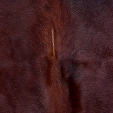 Cowhide Rug AUG26-135 (210cm x 190cm)