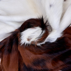 Cowhide Rug AUG26-140 (200cm x 170cm)