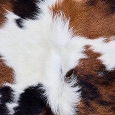 Cowhide Rug AUG26-142 (170cm x 170cm)