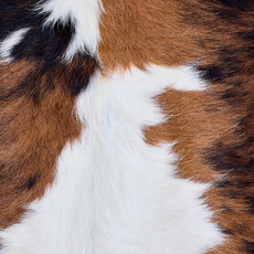 Cowhide Rug AUG26-142 (170cm x 170cm)