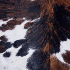 Cowhide Rug AUG26-159 (190cm x 190cm)