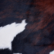 Cowhide Rug AUG26-160 (210cm x 200cm)