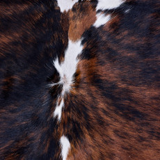 Cowhide Rug AUG26-161 (190cm x 190cm)