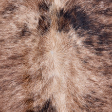 Brindle Brown And White Cowhide Rug NOV26-004 (220cm x 200cm)