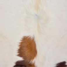 Tri Dark Brown And White Cowhide Rug NOV26-068 (200cm x 190cm)
