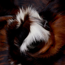 Brown And White Cowhide Rug NOV26-072 (180cm x 180cm)