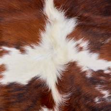 Brown And White Cowhide Rug NOV26-076 (200cm x 190cm)