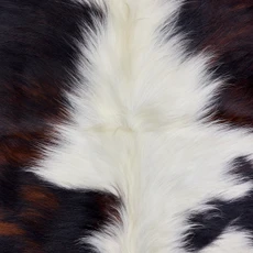 Brown And White Cowhide Rug NOV26-085 (190cm x 170cm)