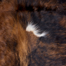 Brown And White Cowhide Rug NOV26-124 (200cm x 190cm)