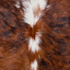 Brown And White Cowhide Rug NOV26-132 (190cm x 170cm)