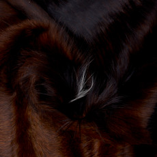 Brown And White Cowhide Rug NOV26-141 (210cm x 190cm)