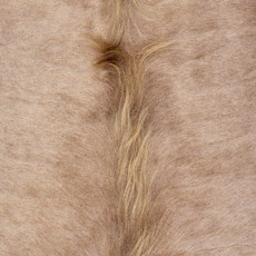 Light Brown  Cowhide Rug NOV26-146 (250cm x 230cm)