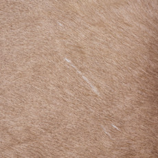 Light Brown  Cowhide Rug NOV26-146 (250cm x 230cm)
