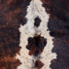 Brown And Crean Cowhide Rug NOV26-150 (230cm x 290cm)