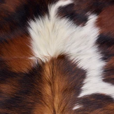 Bright Brown And White Cowhide Rug NOV26-162 (200cm x 190cm)
