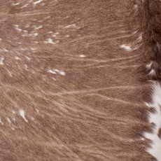 Burnt Umber And Cream Cowhide Rug NOV26-178 (250cm x 220cm)
