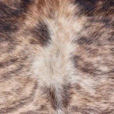 Brown, Grey And White Brindle Cowhide Rug NOV26-192 (220cm x 200cm)