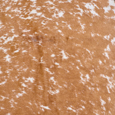 Spotted Fawn And White Cowhide Rug NOV26-196 (210cm x 150cm)