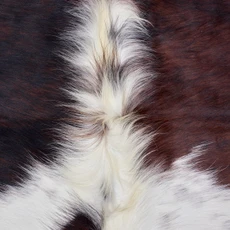 Brown And White Cowhide Rug NOV26-202 (190cm x 170cm)