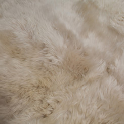 oyster sexto sheep skin rug