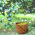 Small Wood Chip Apple Picking Basket Small Wood Chip Apple Picking Basket