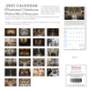 Traditional Catholicism 2023 Calendar