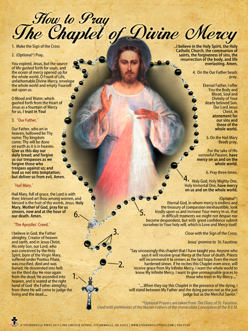 How to Pray the Divine Mercy Chaplet Poster Catholic to the Max