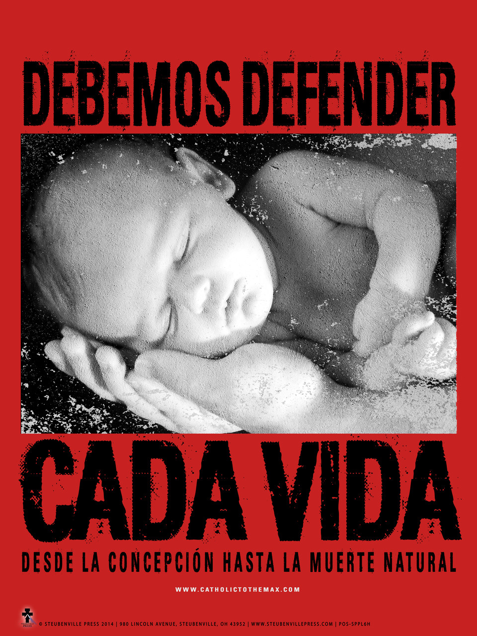 Spanish Defend Life Poster Catholic To The Max Online Catholic Store Baby sleep pattern chart poster. catholic to the max