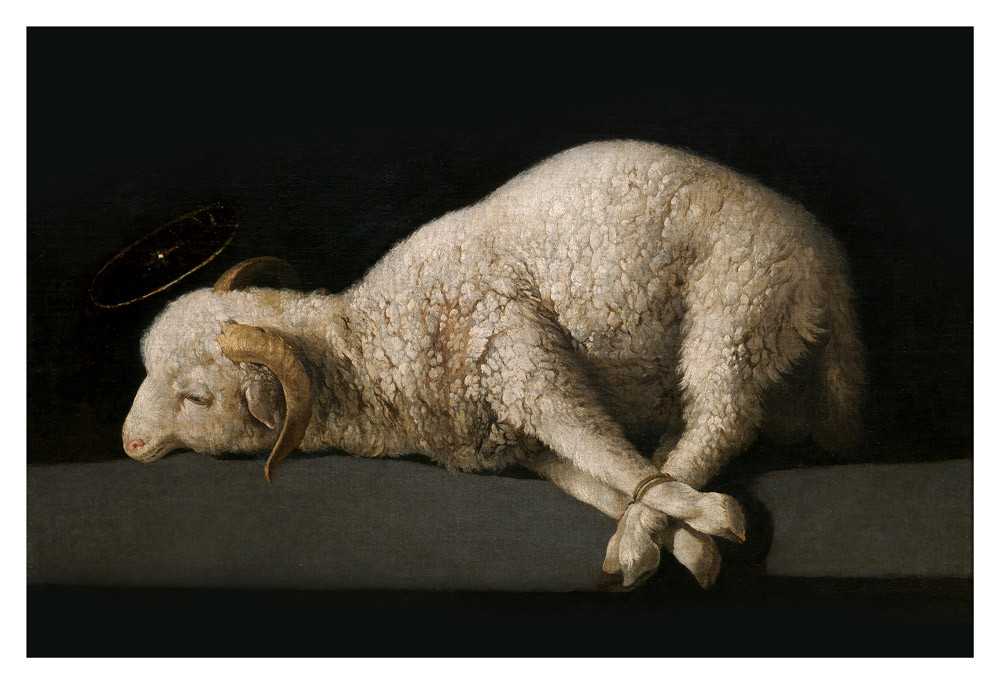 【Mowmow】Agnus Dei 神の小羊 Agnus Dei by Francisco Zurbaran Print