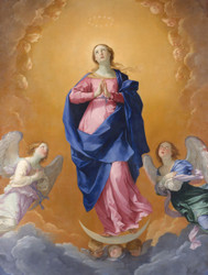 Immaculate Conception