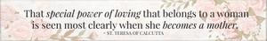 "Special Power" St. Teresa of Calcutta Quote Plaque "Special Power" St. Teresa of Calcutta Quote Plaque