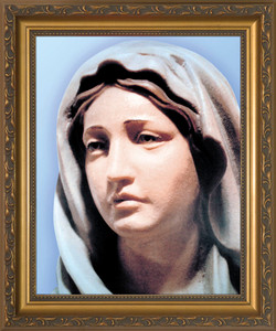 Statue of Mary Framed Art Statue of Mary Framed Art