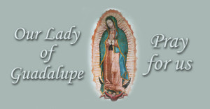 Our Lady of Guadalupe II Vinyl Bumper Sticker Our Lady of Guadalupe II Vinyl Bumper Sticker