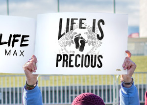 Life is Precious Waterproof Signs (Pack of 12) Life is Precious Waterproof Signs (Pack of 12)