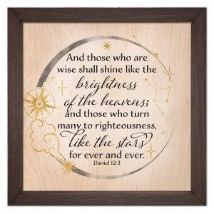 "Like the Stars" Rustic Framed Quote "Like the Stars" Rustic Framed Quote
