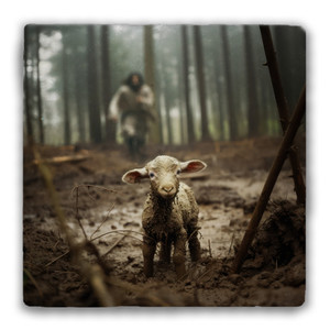 The Lost Sheep Tumbled Stone Coaster The Lost Sheep Tumbled Stone Coaster
