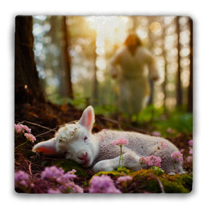 Springtime Sheep Tumbled Stone Coaster Springtime Sheep Tumbled Stone Coaster